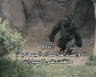 .#خلدوف🇸🇦 