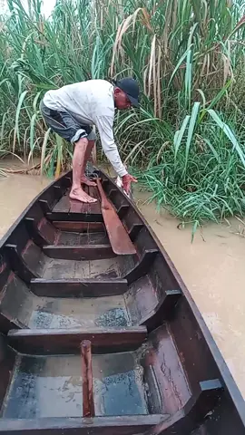 #mancing #fyp #fypシ #riaurokanhulu 