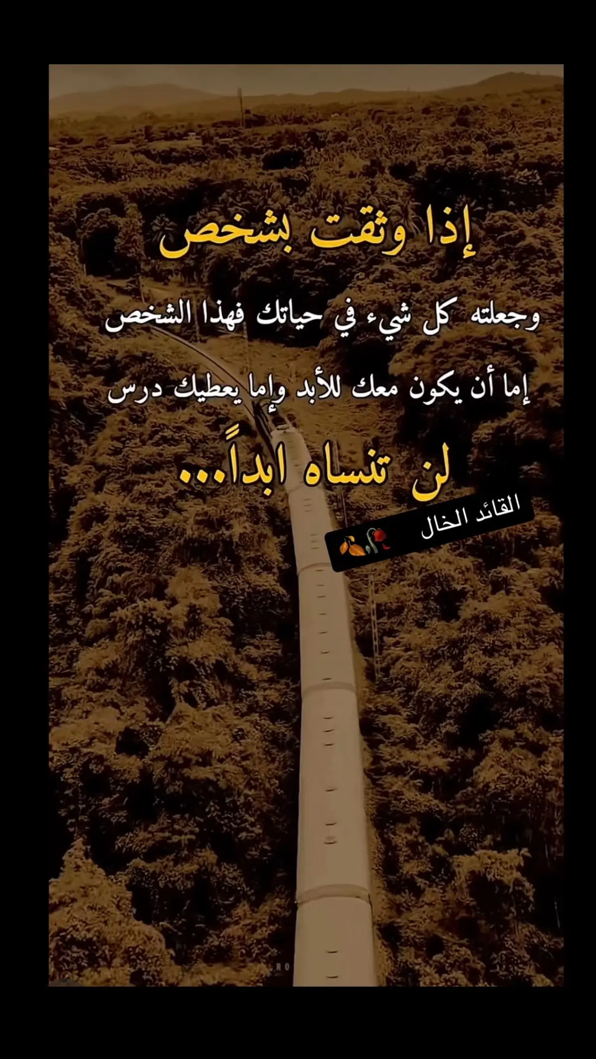 #fypシ゚viral #fypage #الخال💔 