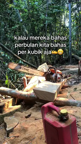 😅😅😅  #kayu #hutankalimantan #kalimantantengah #4you #fyp #katingan 