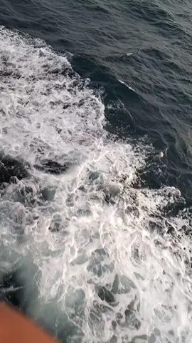 #trending #VoiceEffects #fyppppppppppppppppppppppp #fypシ゚ #xyzbca #mithatalahatu #thankyouforlove 