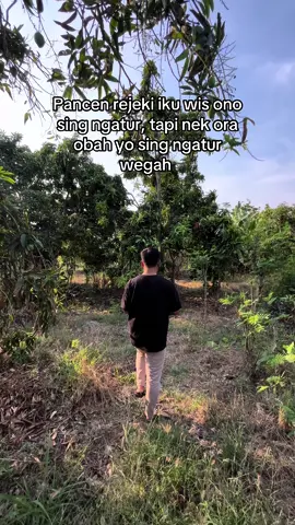 Semangat #fyp #bosmuda #masyaallahtabarakkallah 