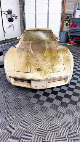 #carwash #carwashing #carclean #carcleaning #cardetail #cardetailing #washing #cleaning #washcar #washingcar #asmr #asmrsounds #asmrvideo #oddlysatisfying #tiktok #viral #foryou #fyp #satisfyingvideo 