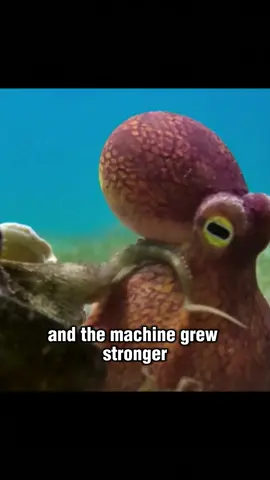 The love between an octopus and a robot #friendship #fyp #Love #sea #animals #nature 
