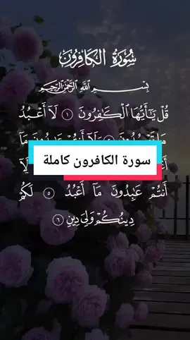 سورة الكافرون مكتوبة كاملة بصوت الشيخ سعد الغامدي #سعد_الغامدي #سورة_الكافرون #قران #قران_كريم #قرآن #القرآن_الكريم_ترند #تلاوة_خاشعة #راحة_نفسية #خاشع_ومؤثر #نفع_الله_بكم_الاسلام #المؤمنون_بالله_وحده #حافظواعلى_الصلاة #لاتكفروا_بالله #الصلاة #اسلام #سبحان_الله #oops_alhamdulelah #لا_اله_الا_الله #الله_اكبر #الله #محمد #محمد_صلى_الله_عليه_وسلم #استغفرالله #استغفرالله_العظيم_واتوب_اليه #الجمعة #دعاء #ذكر #التوحيد #التوبة #النور #السعودية #الامارات #المدينه_المنوره #مكة #مكة_المكرمة #الكويت #الشارقة #دبي #قطر #مصر #الجزائر #العراق #quran #quran_alkarim #viral #fyp #foryou #islam #muslim #tiktok #americanmuslim #islamic #uae #friday #dubai #indonesia #turkey #egypt #malaysia 