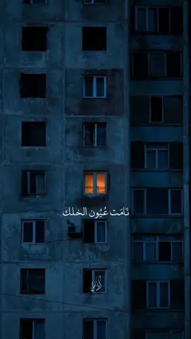 نامت عيون الخلك #محمد_باقر_الخاقاني #سيد_سلام_الحسيني #كربلاء #اللهم_عجل_لوليك_الفرج #اكسبلور #متابعة #لايك 