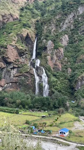 #naturelover ☘️🌿🍀