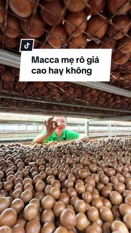 Trả lời @Kemvy2202 Mọi người yên tâm mua ở mẹ rô ạ#tuhaonongsanViet #hatmacca #macca 
