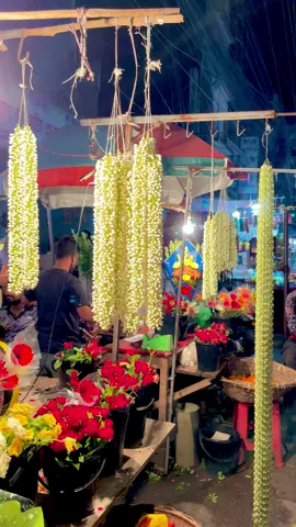 #mdshakibn87 ফুলের মতো ফুল 🥹 #rajshahi #foryoupageofficial #foryoupag #foryoupageofficial #foryoupag #unfreezemyacount #foryoupag #fypシ゚ #viral 