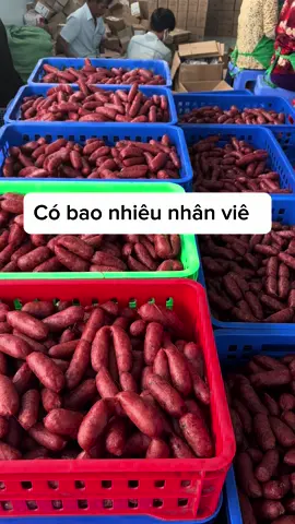 Chính gốc lạp xưởng Khởi Bách Hưng #lapxuongkhoibachhung #lapxuongcailay 