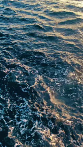 🌞 #fypgakni #fyppppppppppppppppppppppp #story #storywa #4you #4upage #lewatberanda #storytime #storypolosan #capcut #ambonpride🏝🔥 #fypシ #ambonmaluku #fypdong #pantaitimur #pantai #tanimbar 