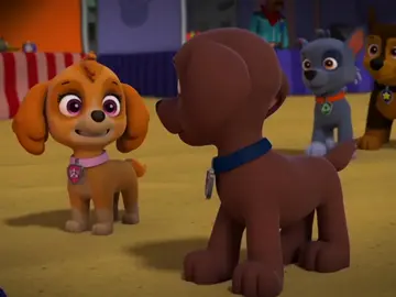 Zuma & Skye best friends 🧡🩷 #paw #patrol #pawpatrol #zuma #zumapawpatrol #skye #fyp #xyzabc #edit #kompa #pasion #CapCut 
