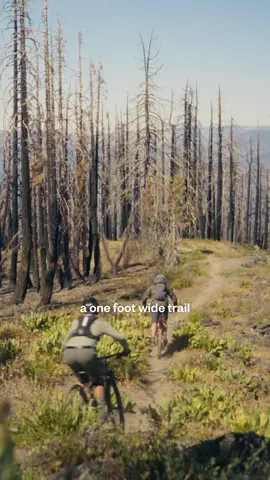 A healthy forest requires regular wildfire, something Indigenous peoples have known and carefully encouraged for thousands of years. However, for nearly the past 150 years the US has taken a different approach, completely suppressing fire to protect timber harvests, property and recreation. The result? Wildfires so catastrophic that the landscape may never recover at all.  “Somebody asked me if the Native people had any thoughts on what to do with the forests as they are right now, with these large burned-out areas where all the trees have been pretty much killed. My response was, ‘Well, since this never occurred in the lifetime of our ancestors, we don’t know how to answer that question' … The intensity of fire was never like this. There was management taking place. You see what a hands-off approach does.” —Les Hall, Mountain Maidu Tribe Watch the full film Fire Lines on  Patagonia’s YouTube: https://pat.ag/TT/FireLines A film by Ken Etzel and Gordon Klco