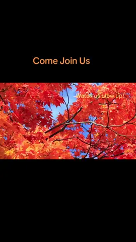 Come join the DBA family we have so many opportunities to make multipe streams of income. Build your empire with your own brand.  #howtomakemoneyonline #amazingopportunities💚 #workwithyourphone📲 #lookingforextraincome #millionairemindset2024💵 