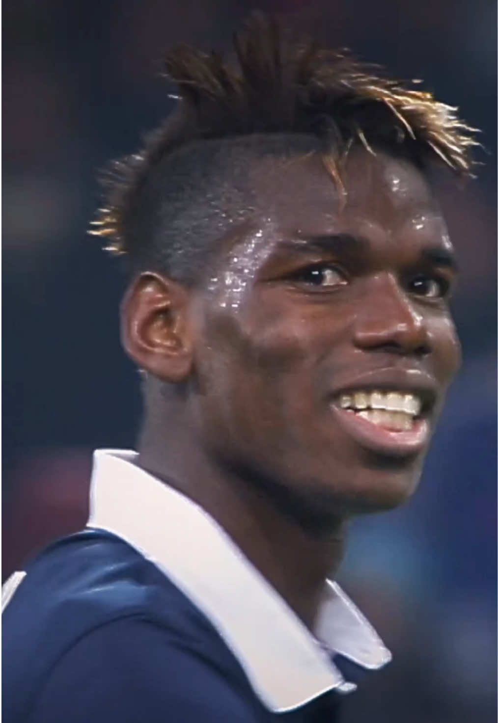 The artist ✨  #Pogba #EquipeDeFrance #SportsTikTok #Skills 