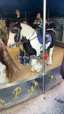 Die Augen🚨Bricht mir immer so das Herz💔 kenne teilweise die Ponys von klein auf und die laufen da schon über zehn Jahre💔💔 ##pferd##pony##ponyreiten##baby##ohmybaby##youaremybaby##viral##viraltiktokvideo