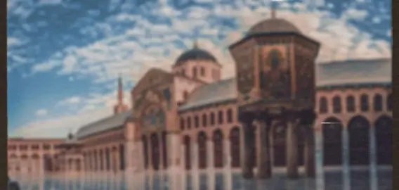 هذي دمشقُ وأهلي ها هُنا ناحوا    #muh__amad #سوريا_تركيا_العراق_السعودية_الكويت #ادلب #اكسبلور #explore #شعر #حذيفة_الجابري #فصحى #أبيات_من_الشعر #قصيد #شاعر #دمشق #أدبيات 