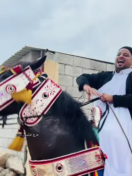 بسم الله مشاء الله  #اللهم_صل_وسلم_على_نبينا_محمد  #الرايس علي البرناني 🥇💙 #عقد فرسان زليتن 💙 40# فارس الله يبارك  #زليتن_ليبيا_زليتن_وأحلى_زليتن  #مصراته_الصمود🇱🇾🇱🇾🔥😌 