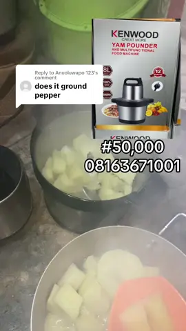 Replying to @Anuoluwapo 123 #yampounder #yampounderinlagos #foodprocessor #foodprocessing 