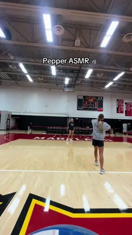 Ball control> #fyp #volleyball #pepper @LILLY WAGNER !! 