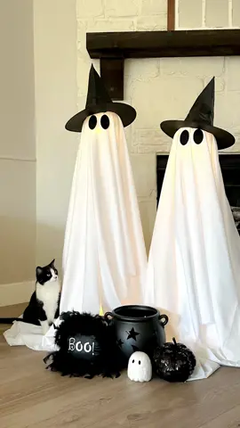 I can see why these adorable ghosts have gone viral!  🖤👻 They’re super easy to put together and they come with a remote control for the lighting that has 8 different effects. I have had these ghosts since July, but you can still get them in time for Halloween! ✨Click link in bio to head over to my Amazon Storefront where you’ll also find all items linked ✨ #amazonhalloween #ghostdecor #amazonfind #halloweeninspo #halloweendecor #halloweeniscoming #diyghost #diyhalloween 