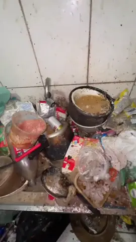 Minha sogra chegou na minha casa me chamando de porca 😥