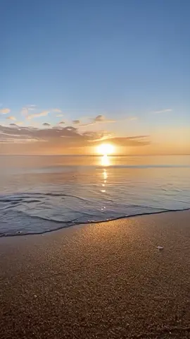 🗿 #fypシ゚ #memes #pastikanfyp #memes #memetiktok #memevideo #memereceh #memelucu #memengakak #memerandom  #asupanmeme #funnyvideos #funnymemes #humortiktok #xybca #foryoupage 