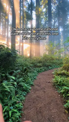 Redwood National Forest is not so crowded cuz its so big with dozens  of fire trails its hard to mess this up. #nature #pnw #oregon 