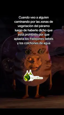 Entrar a caminar a las zonas de vegetación en el páramo para 