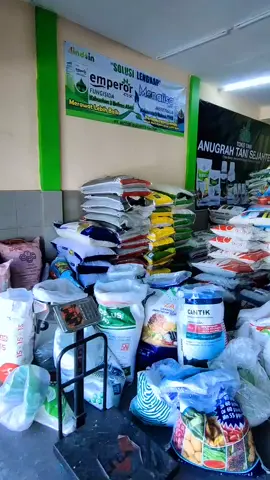 monggo yang butuh pupuk dan obat obatan pertanian kami ready 😊😊lokasi depan indomart kerep,bagor, nganjuk👍👍👍#petanimilenial #petani #petaninganjuk #petaniindonesia🇮🇩🇮🇩🇮🇩🌿🌿 