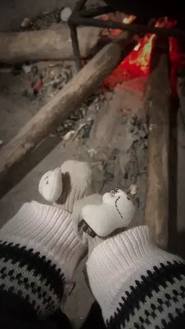 Tết năm nay cả nhà mình về quê nha anh❤️🇻🇳 #tết2025🎇🎇 #typ #xuhuongtiktok 