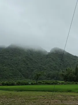 পাঁচগাও ইন্ডিয়া বর্ডার কলমাকান্দা নেত্রকোনা