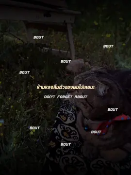 Doubt | twenty one pilots ( แปล ) 𔓘 #PBBG  #แปลเพลง #lyrics #music #song #doubt #twentyonepilots 