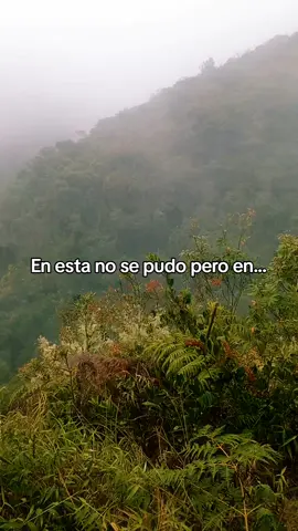 La canción más bonita del momento 💕  #lasso #canciones #tendencia #tristeza 