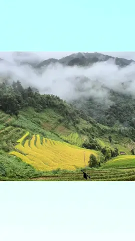 Bản làng em yên bái #banlangem 