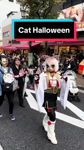 All cat lovers unite in Tokyo in October 😻  📍Cat Halloween Parade, Kagurazaka - October 13, 2024 #tiktoktokyo #tokyoevents #bakeneko #tokyo #japan #thisisjapan #japanculture #visitjapan #hallowewn2024 #halloween cats #catsoftiktok