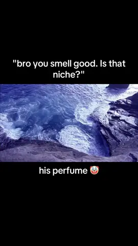 Can't hate on the OG 😂😂😂 #mensperfume #perfume #perfumecollection #scentoftheday #perfumetok #fragrancetok #davidoffcoolwater 