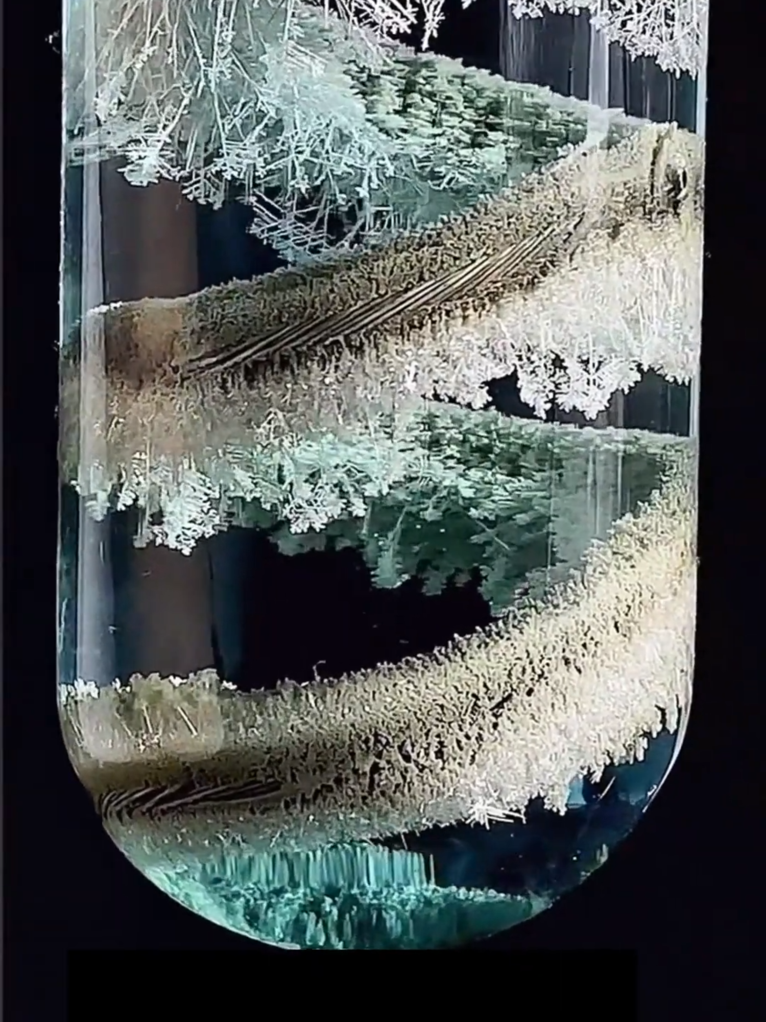 Thí nghiệm hoá học Fe + AgNO3 📷 Sự kết tinh trong lòng ống nghiệm #hoahoc #thinghiemhoahoc #vedepcuahoahoc #chemistry #toimehoahoc