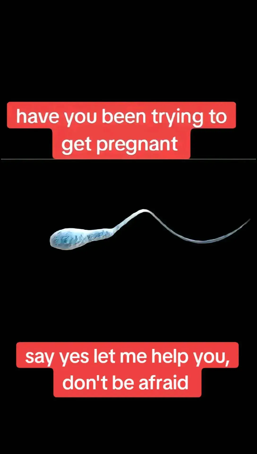 #fertilityreading #pregnacyreading #fertilityjourney #ttc #ttcjourney #ttcafterloss #pregnacyandfertilitypsychic #pregnacyprediction #rainbowbaby #fyp #viralvideo