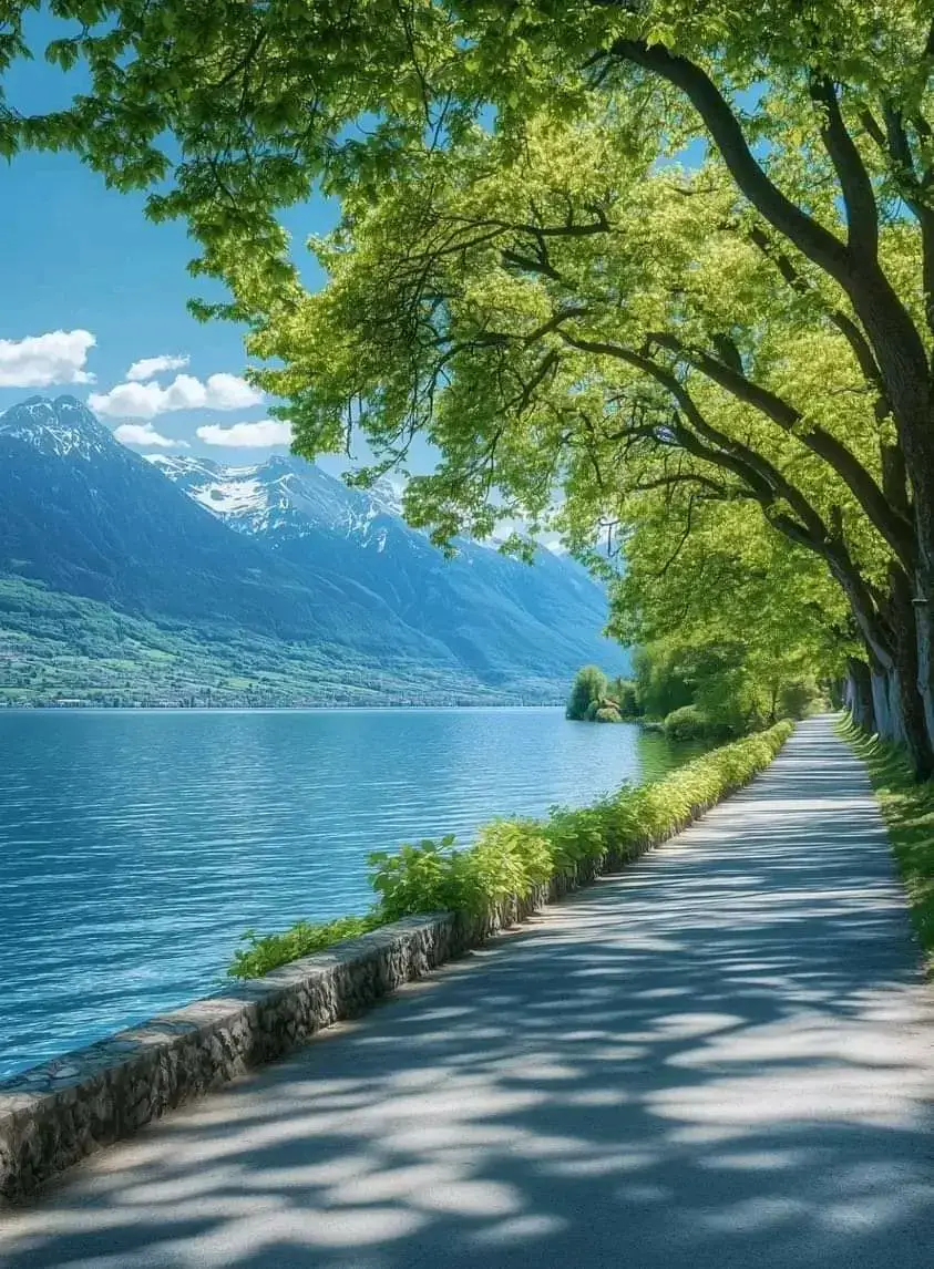 Thiên nhiên là thiên đường cho những người hướng nội 🍃✨