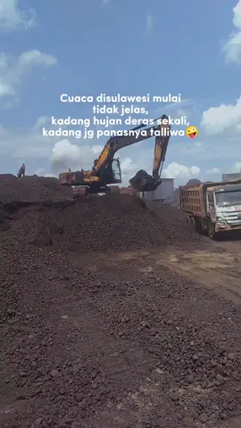 mapella 🥵