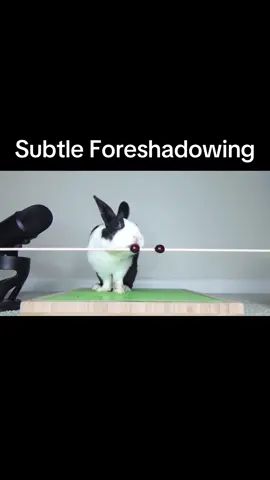 Stupid rabbit falls over from over eating 🍇  Video credits from ‘OneMorePlease’ #for #you #foryou #foryoupage #fypシ #fy #fyp #funny #comedy #rabbit #eating #asmr #food #fruit #foreshadowing #bunny #animals #hungry #fail #foryoupageofficiall #laugh #youtube #entertainment #mic #cute #sweet #diddy #diddyparty 