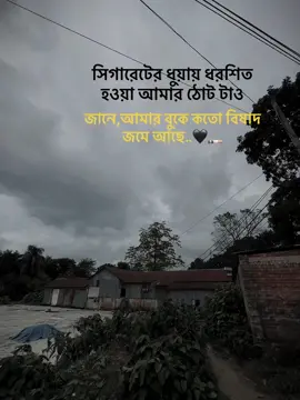 #CapCut #ashik #viraltiktok #foryoupagе #fyp #unfreezemyacount #sad #newtrending #sadcaption #capcut_edit @For You @TikTok tending 🔹 @TikTok @TikTok Bangladesh 