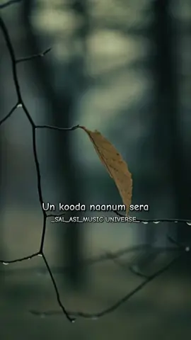 🤎🌜Un kooda naanum sera Otha kaalil ninnenae...  #musicunivers01 #naanerikkarai #chinnathayee #ilayaraja  #somememoriesneverdie 🥀❤️ 🩹 #makethismemories☘️   #tamilsong  #tamilstatussongs #videolyrics #tamillovesong  #tamilstatusvideos #tamilbgmlove #tiktokmalaysia #songs #trendingsong #song #lyrics #tamilsonglyrics #lovesonglyrics #lovelyrics #lovenature #viralsongs #fyp #fy #bgmlove #lovetamil #fyppppppppppppppp #fypviral #foryou #foryoupage #musictamil #CapCut 