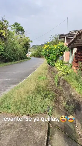 #paraiso
