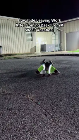How It Be Leaving Work After Coming Back From A Week Vacation. #car #fypシ゚viral 
