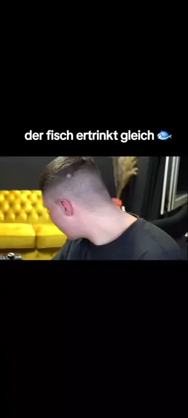 #semih #jordan #twitch #fisch #friteuse  @der_eine_do1 @Jordan @Semih Jackson 