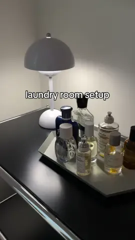 laundry room setup - now that my closet renovation is done, i finally got around to organizing my laundry room! love how this space is funtional and beautiful, really makes laundry something i look forward to now inspo: @Jack Callaghan   #Home #homedecor #laundrytok #laundryroommakeover #rennovation #DIY #restock #restockasmr 