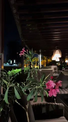 ‏أحبك لو شانت ظروُف الزمان ومَال ..♥️ #الخبر #اكسبلورexplore 