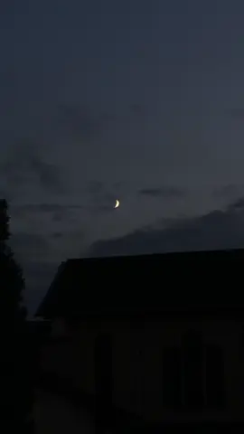 I wanna be yours #wannabeyours #slowedsongs #arcticmonkeys 